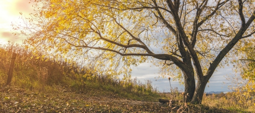 Post With an Awesome Slideshow